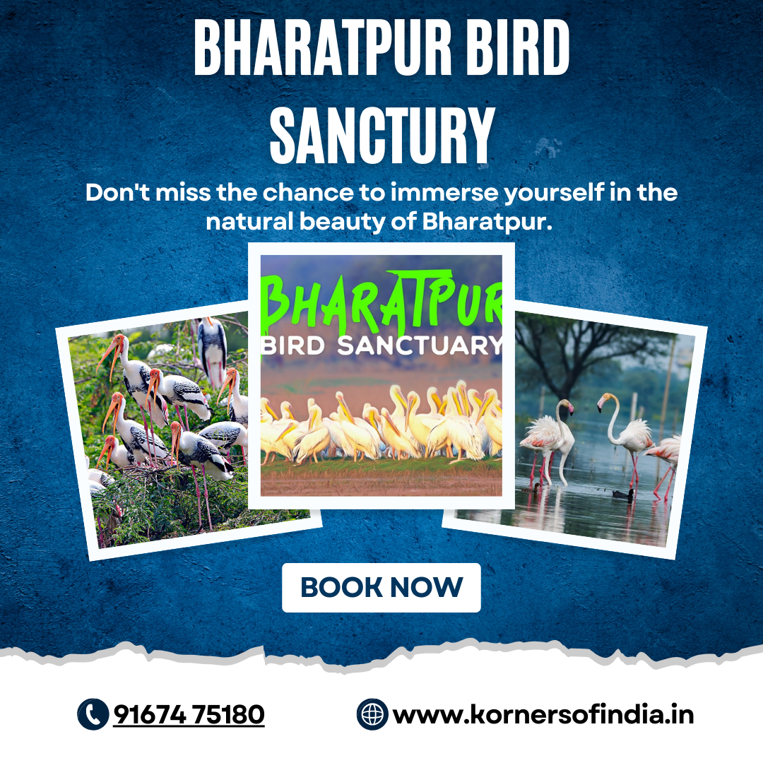 Bharatpur Bird sanctury